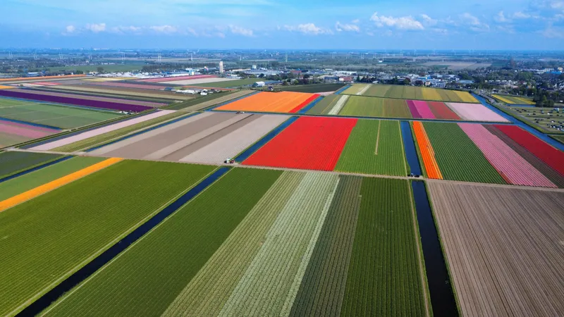 Google Opens Winschoten Data Center to Power Dutch AI Economy