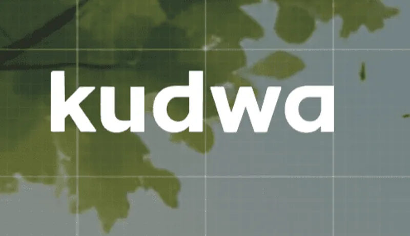 Kudwa Secures $1.1 Million to Scale AI-Powered Financial Intelligence Platform