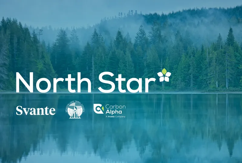 Microsoft to Purchase 626,000 Tonnes of Carbon Removal from Indigenous-Owned North Star Project