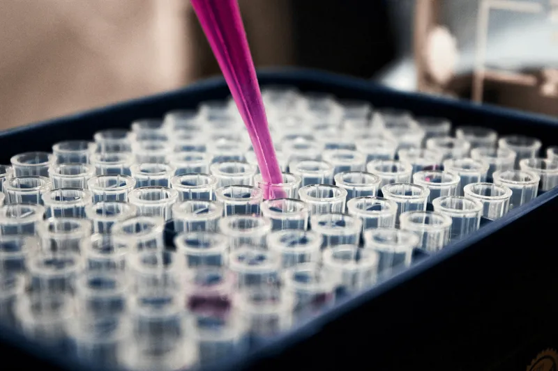 Spore.Bio Wins Google.org Funding to Launch Advanced AI Microbiology Research Unit