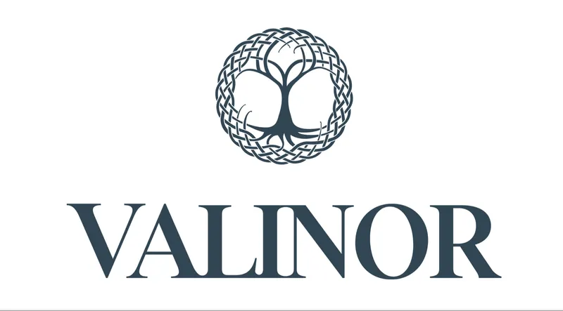 Valinor Digital Raises $25 Million to Launch Blockchain-Enabled Open Credit Infrastructure