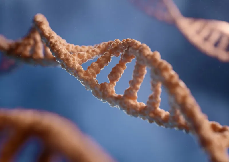 Vivatides Therapeutics Secures $54 Million to Scale Extrahepatic RNA Delivery Platform